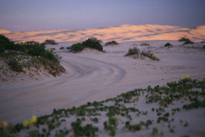 Beach-Birubi sandunes Beach-Birubi sandunes